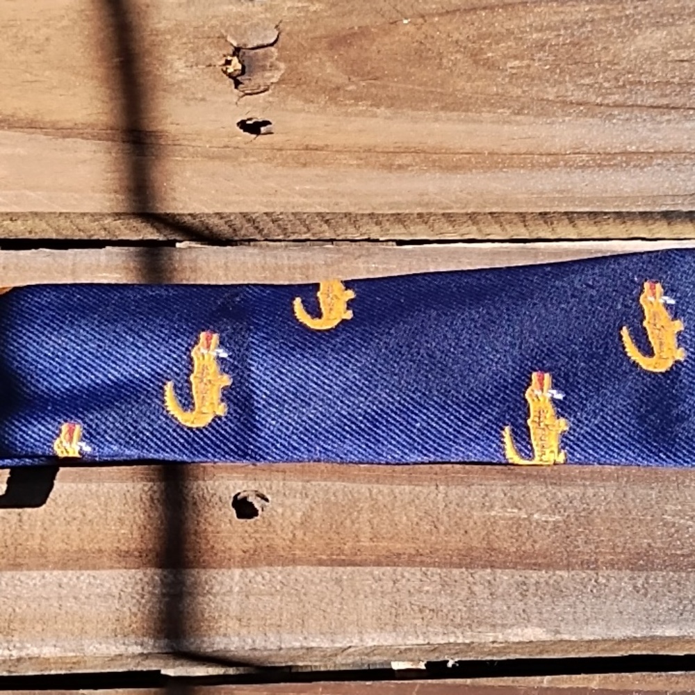 Navy & Orange Alligator Tie - Picture 3 of 10